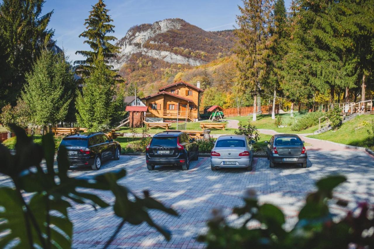 Pensiunea Cheile-Oltetului Polovragi Exterior foto