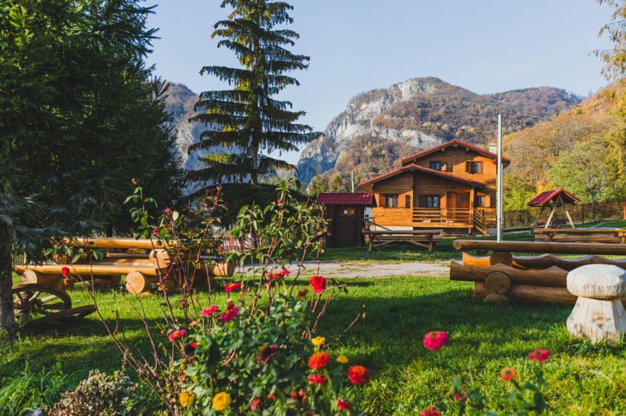 Pensiunea Cheile-Oltetului Polovragi Exterior foto