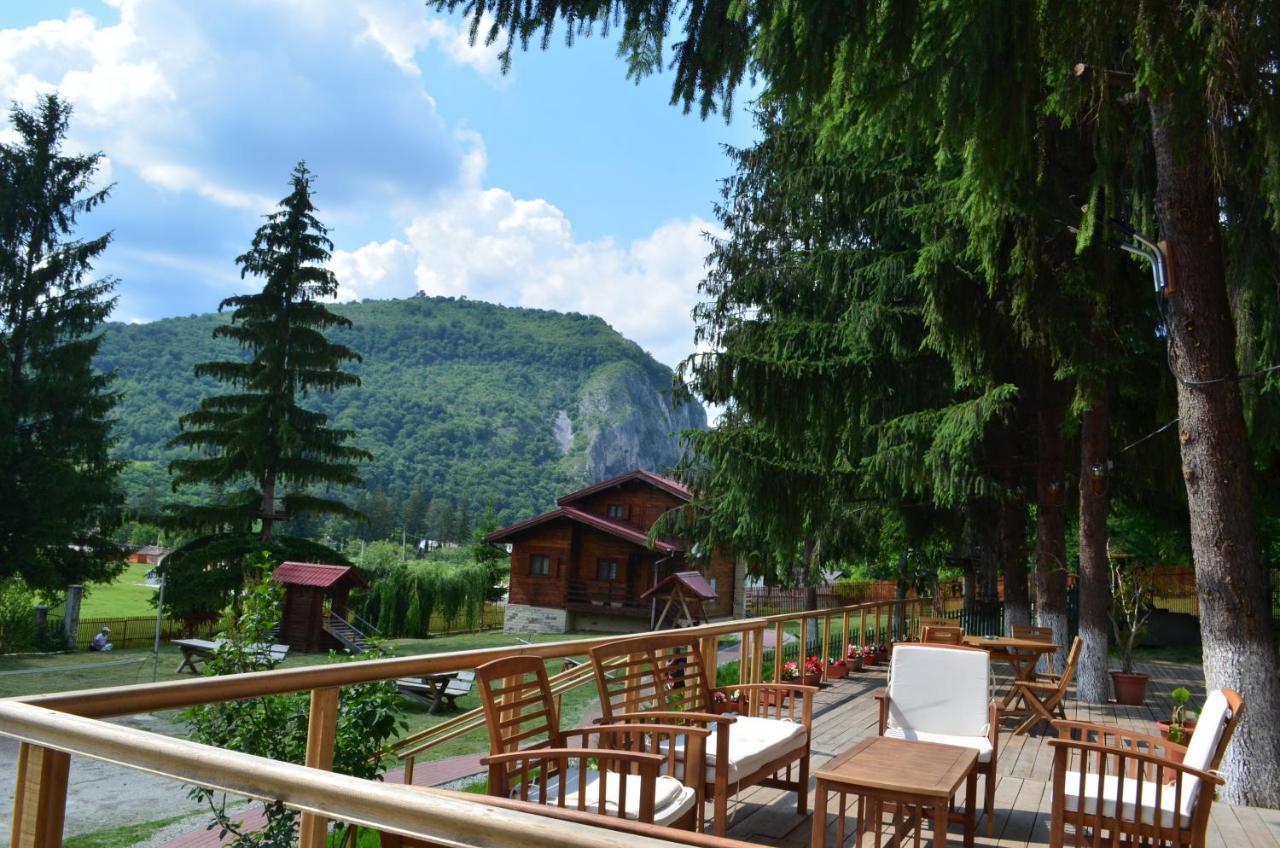 Pensiunea Cheile-Oltetului Polovragi Exterior foto